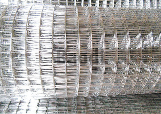 Le chiot court la longueur en acier de Rolls 30m de maille galvanisée par électro/largeur de 0,5 - de 1.8m
