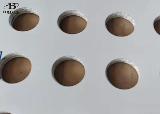 maille perforée de poinçon en métal de plat de tamis filtrant de 1m x de 2m