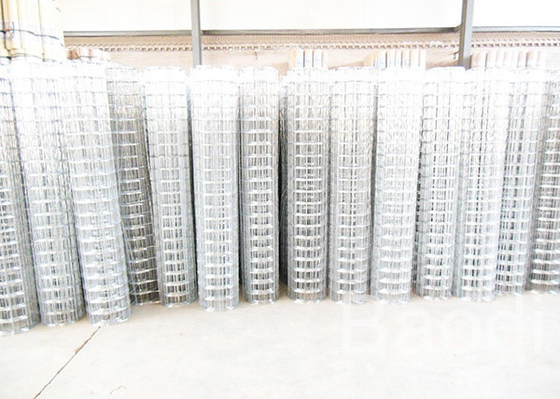 Le chiot court la longueur en acier de Rolls 30m de maille galvanisée par électro/largeur de 0,5 - de 1.8m