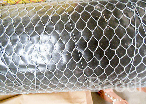 Tissu inoxydable de fil de poulet pour la protection de lapin, barrière de yard de poulet d'acier à faible teneur en carbone