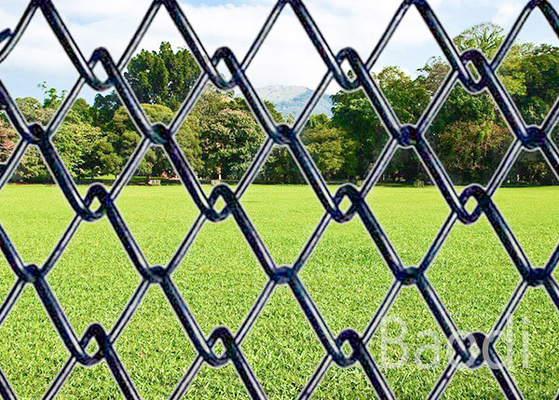 Panneaux de barrière d'intimité avec le modèle de trou de diamant, grillage de cyclone de jardin