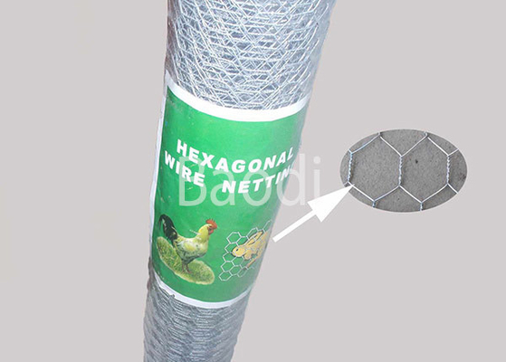 Grillage hexagonal anticorrosion, barrière de jardin de fil de poulet avec le trou hexagonal