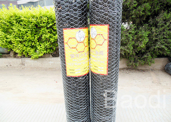 Grillage hexagonal anticorrosion, barrière de jardin de fil de poulet avec le trou hexagonal