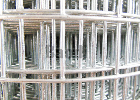 Grillage soudé d'acier inoxydable de haute résistance avec la structure solide 1" X 1"