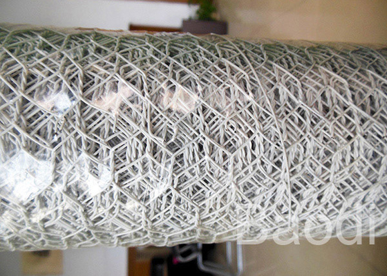 Fabrication de volaille de couleur blanche/petit pain en plastique grillage de poulet avec les trous hexagonaux