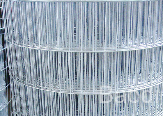 En petit pain longueur soudée galvanisée du tissu 30m d'écran de fil pour la construction