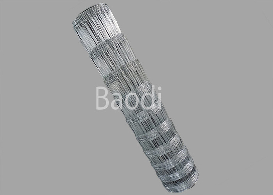 Grille rectangulaire tissée galvanisée plongée chaude de barrière de champ de joint de charnière