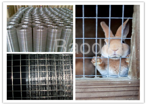 Tissu en acier galvanisé de matériel soudé par électro pour la barrière d'animal de lapin