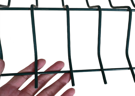 Clôture en PVC revêtue de 3D courbée en treillis métalliques soudés